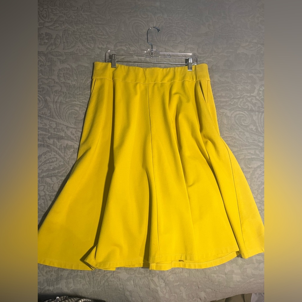 Lane Bryant A-Line Skirt